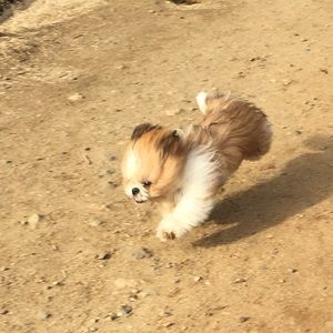 Meet your Posher, Rylee